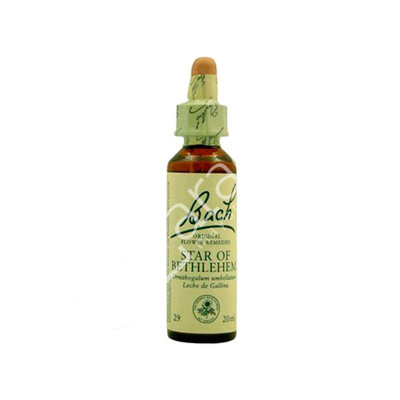 STAR OF BETHLEHEM LECHE GALLINA 20ML