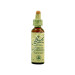 STAR OF BETHLEHEM LECHE GALLINA 20ML