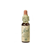 SWEET CHESTNUT CASTAÑO DULCE 20ML