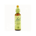 VERVAIN VERBENA 20ML
