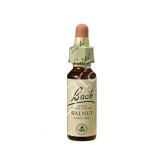 WALNUT NOGAL 20ML