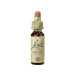 WALNUT NOGAL 20ML