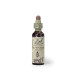 WATER VIOLET VIOLETA AGUA 20ML