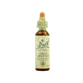 WHITE CHESTNUT CASTAÑO BLANCO 20ML