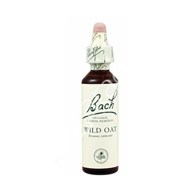 WILD OAT AVENA 20ML