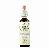 WILD ROSE ROSA SILVESTRE 20ML
