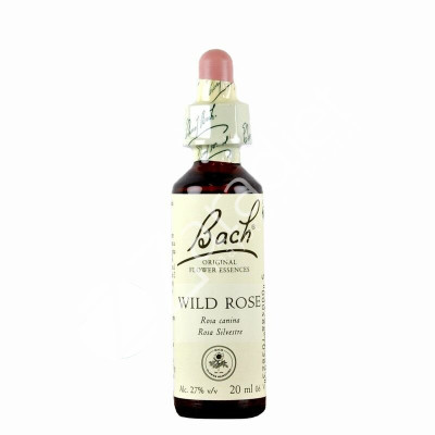 WILD ROSE ROSA SILVESTRE 20ML