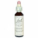 WILLOW SAUCE 20ML