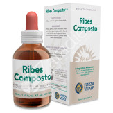 RIBES COMPOSTO 50ML
