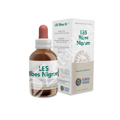 RIBES NIGRUM 50ML