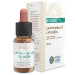 QUINTA ESENCIA LAVANDA 10ML