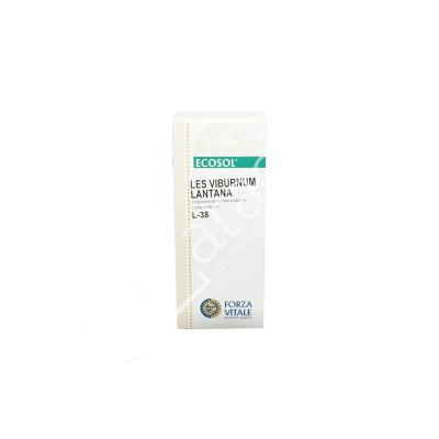 LES VIBURNUM LANTANA 50ML