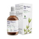 PSC RIBES NIGRUM 15ML