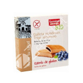 GALLETAS DE ARÁNDANO Y TRIGO SARRACENO - GERMINAL
