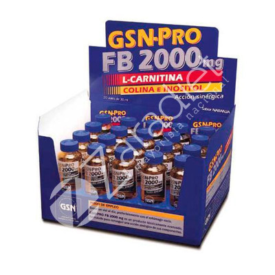 PRO FB 2000 CARNITIN 20 VIALES