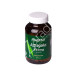 ASTRAGALO (ASTRAGALUS MEMBRANACEUS) 545MG 60COMP