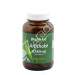 ALCACHOFERA (CYNARA SCOLYMUS) 8350MG 60COMP