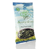 EQUINACEA RAIZ ECO 60G