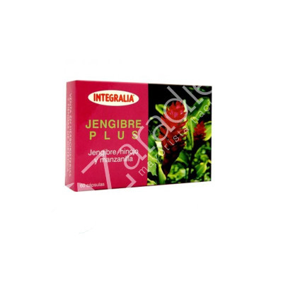 JENGIBRE PLUS 60CAP
