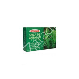 COLA CABALLO PLUS 60CAP