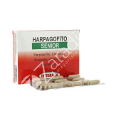 HARPAGOFITO SENIOR 30CAP