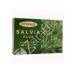 SALVIA PLUS 60CAP