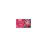 HARPAGOFITO PLUS 20 VIALES BEBIBLES