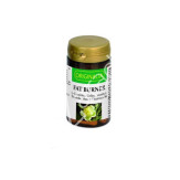 FAT BURNER 60CAP