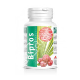 BIPROS  PROTECCION DE LA PROSTATA 80CAP