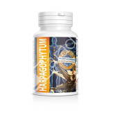 HARPAGOPHYTUM CAPSULAS 60CAP