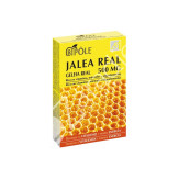JALEA REAL SIN CONSERVANTES  500MG 20AMP
