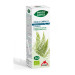 PHYTO BIOPÔLE COLA DE CABALLO BIO 50ML
