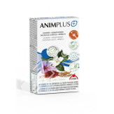ANIMPLUS 42CAP