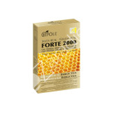 JALEA FORTE 2000 SIN CONSERVANTES 15ML 20AMP
