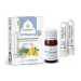 PHYTO MEMORY 5ML+2STICKS INHALADOR