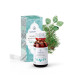 SINERGIA AROMÁTICA RESPIR  15ML