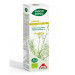 EXTRACTO HINOJO 50ML