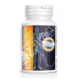 BOSWELIA PROTECT 500MG 45PER