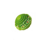 ECOBOLA DE LAVAR