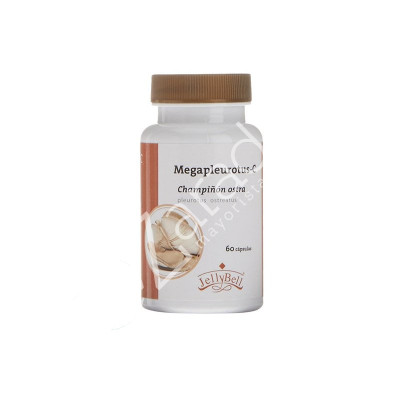 MEGAPLEUROTUS C  60CAP