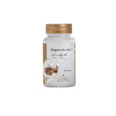 MEGACORDICEPS C 750MG 60CAP