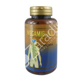 MEGAMIELINA L-TREONINA 500 MG 90 CAP