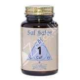 SAL SALYS CAF N1 90 COMP