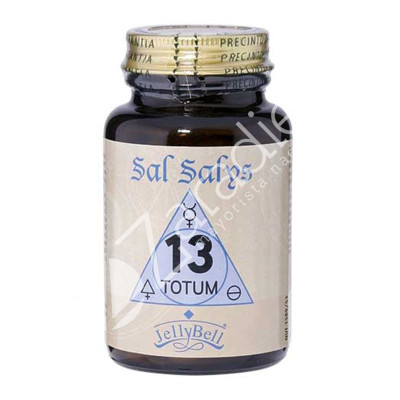 SAL SALYS TOTUM N13 90 COMP