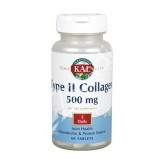 TYPE II COLLAGEN 500MG 60COMP - KAL