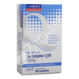 COENZIMA Q10 100MG 60CAP