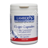 GINGER JENGIBRE 120MG 60CAP