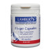 GINGER JENGIBRE 120MG 60CAP
