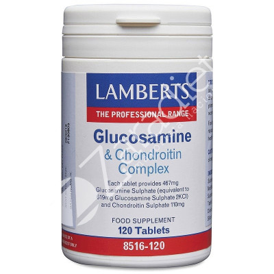 GLUCOSAMINA+CONDROITINA 120TAB