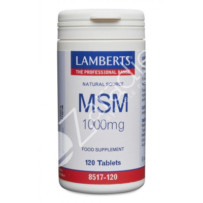 MSM 1000MG 120TAB